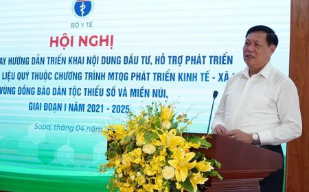 Triển khai dự án hỗ trợ vùng trồng dược liệu quý: Doanh nghiệp băn khoăn vấn đề giải ngân