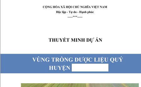 Hồ sơ thuyết minh dự án trồng dược liệu quý theo chương trình mục tiêu quốc gia 2021 - 2030