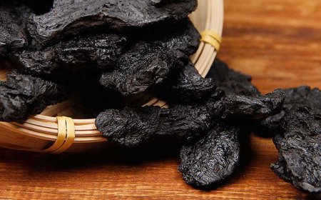 Bài thuốc từ dược liệu, vị thuốc thục địa chữa tóc bạc sớm