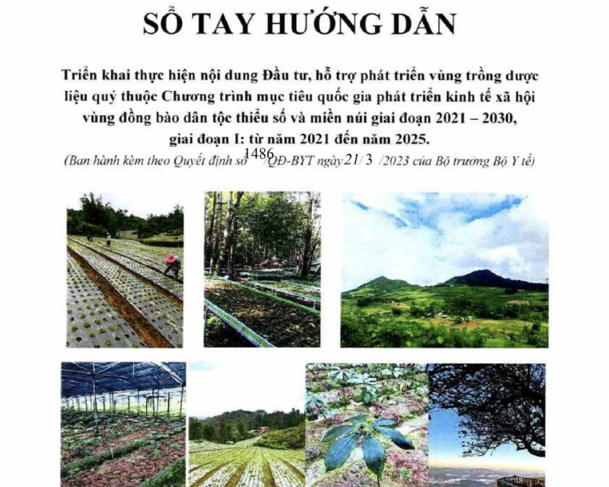 Quyết định ban hành Sổ tay hướng dẫn triển khai nội dung Đầu tư, hỗ trợ phát triển vùng trồng dược liệu quý