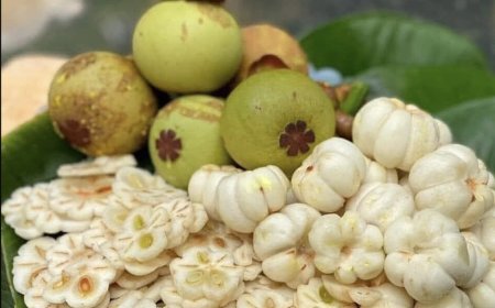 Quả măng cụt rất tốt cho sức khỏe nhưng sẽ mang lại tác dụng phụ nguy hiểm nếu sử dụng sai cách