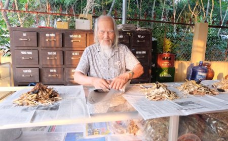 Dự thảo Thông tư quy định cấp, cấp lại Giấy chứng nhận là Lương y