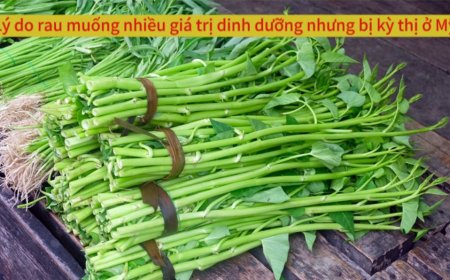 Lý do rau muống nhiều giá trị dinh dưỡng nhưng bị kỳ thị ở Mỹ