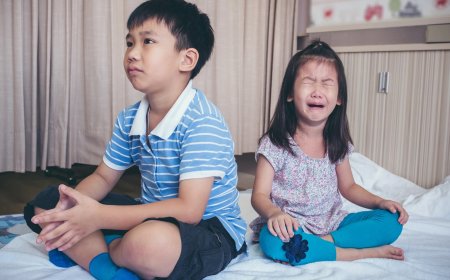 Nguyên nhân chính của một gia đình mà anh chị em ruột ghét nhau như 'CHÓ MÈO'