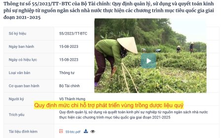 Bộ Tài chính ban hành Thông tư quy định mức chi hỗ trợ phát triển vùng trồng dược liệu quý
