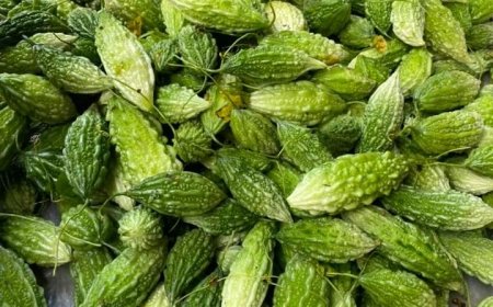 Tác dụng phụ của MƯỚP ĐẮNG cần lưu ý khi dùng