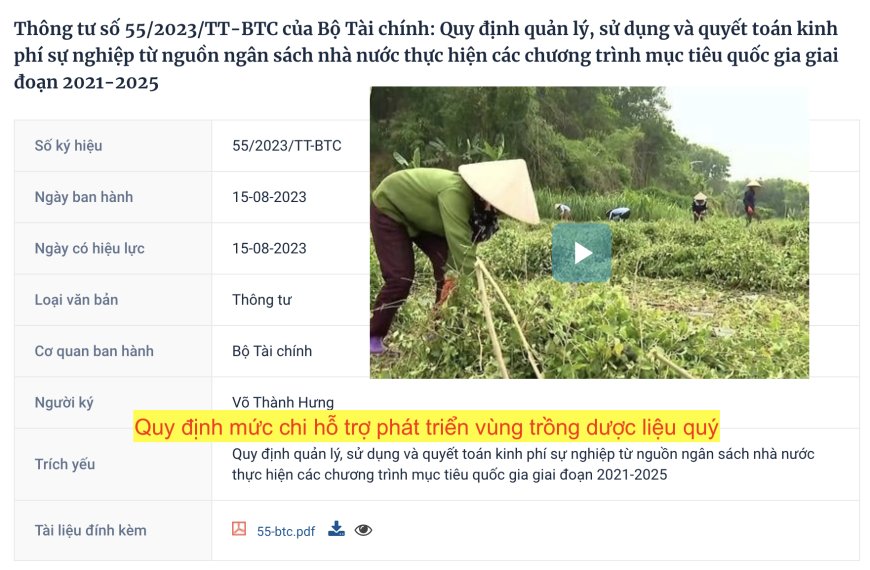 Bộ Tài chính ban hành Thông tư quy định mức chi hỗ trợ phát triển vùng trồng dược liệu quý