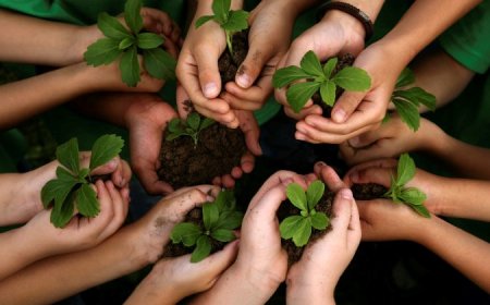 ĐÃ SỐNG THÌ HÃY SỐNG CHO TỬ TẾ