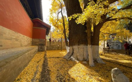 [VƯỢT QUA ĐẠI NẠN ẮT CÓ HẬU PHÚC] CÂU NÀY AI CŨNG BIẾT, NHƯNG BẠN CÓ BAO GIỜ TỰ HỎI VÌ SAO LẠI NHƯ VẬY CHƯA