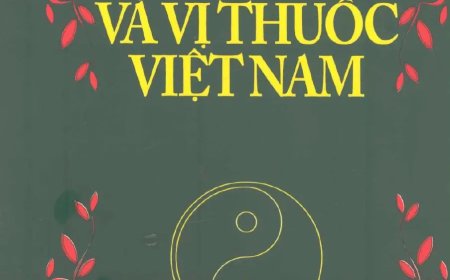 Những Cây Thuốc Và Vị Thuốc Việt Nam PDF