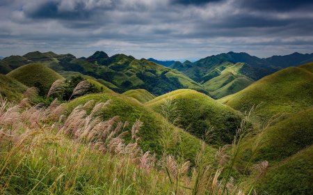 ĐỀ ÁN  PHÁT TRIỂN VÙNG TRỒNG CÂY DƯỢC LIỆU  GIAI ĐOẠN 2016 - 2020 TRÊN ĐỊA BÀN HUYỆN ĐÌNH LẬP