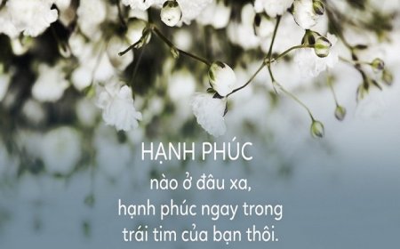 ĐÂY LÀ BÀI VIẾT MÀ BẤT KÌ AI CŨNG NÊN ĐỌC ÍT NHẤT MỘT LẦN TRONG ĐỜI