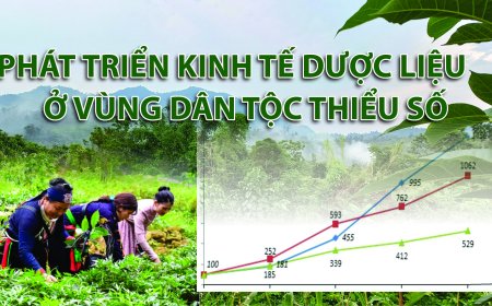 Mỗi năm, ngành Y dùng 100.000 tấn dược liệu, giá trị trên 400 triệu USD