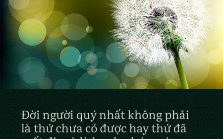 'KIẾP NHÂN SINH' ĐIỀU GÌ LÀ QUÝ GIÁ NHẤT ĐÁP ÁN ĐƠN GIẢN MÀ NHIỀU NGƯỜI NGỘ MÃI KHÔNG RA