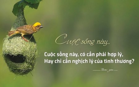 TRONG CUỘC SỐNG LÚC KHÓ KHĂN BẠN CÀNG PHẢI ĐỂ BẢN THÂN CHẬM LẠI BÌNH TÂM TĨNH KHÍ THUẬN THEO THỜI THẾ MÀ HÀNH ĐỘNG