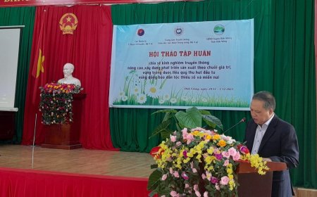 Hội thảo Tập huấn chia sẻ kinh nghiệm Truyền thông xây dựng chuỗi giá trị vùng trồng dược liệu