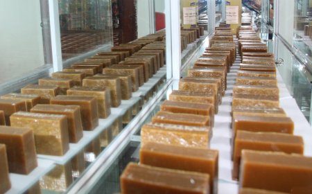 Công dụng và tác dụng của CAO NGỰA BẠCH