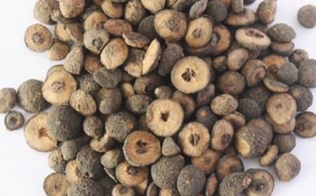 Vị thuốc dùng tốt cho hệ tiêu hóa: Chỉ thực và chỉ xác là tên gọi của loại quả của nhiều cây khác nhau