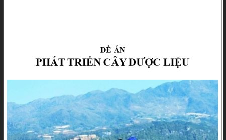 ĐỀ ÁN PHÁT TRIỂN CÂY DƯỢC LIỆU VIỆT NAM giai đoạn 2021-2030, tầm nhìn đến năm 2050