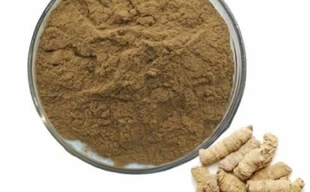 Nghiên cứu tác dụng hướng sinh dục nam của cao ba kích trên thực nghiệm