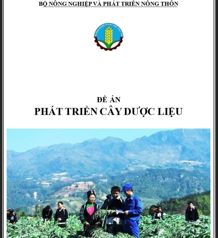 ĐỀ ÁN PHÁT TRIỂN CÂY DƯỢC LIỆU VIỆT NAM giai đoạn 2021-2030, tầm nhìn đến năm 2050