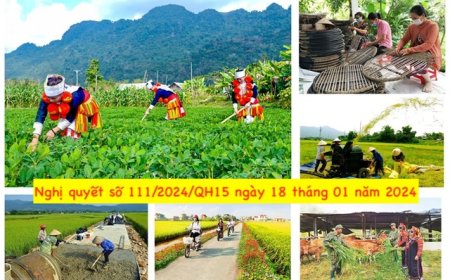 Triển khai Nghị quyết của Quốc hội về cơ chế đặc thù thực hiện các chương trình mục tiêu quốc gia