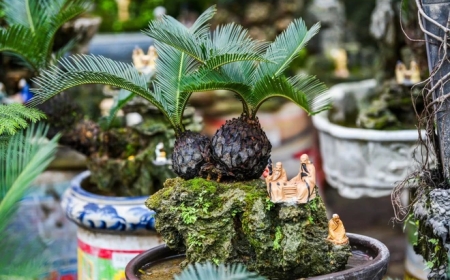 3 loại cây cảnh đẹp mắt nhưng có độc tố nguy hiểm, có thể gây tử vong