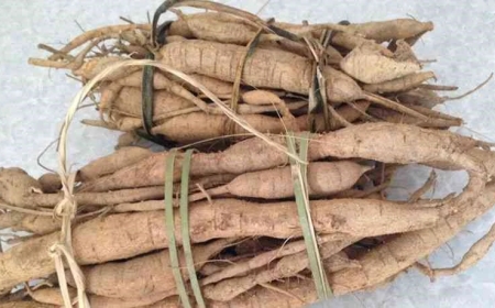 LUẬN ÁN TIẾN SĨ: Nghiên cứu thành phần hóa học và hoạt tính sinh học của cây Bon bo (Alpinia blepharocalyx K. Schum) và cây Cát sâm (Millettia speciosa Champ.)