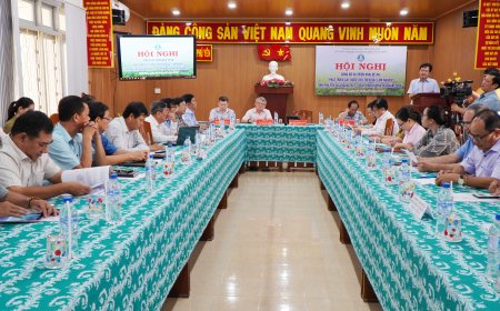 Dự án phát triển cây dược liệu tại Phú Yên: Hướng tới một tương lai xanh và bền vững