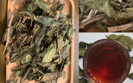 Uống Nước Xạ Đen: Lợi Ích Và Cách Sử Dụng An Toàn