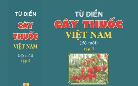 Khám Phá Kho Tàng Y Học Cổ Truyền Với 'Từ Điển Cây Thuốc Việt Nam'