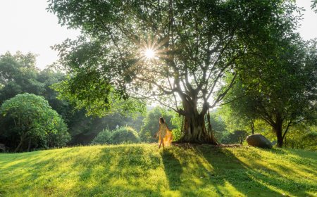 Chữa Lành: Hành Trình Từ Vết Thương Đến Sự Hoàn Thiện