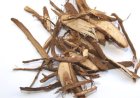 Thiên Cân Bạt (Radix Flemingiae): Vị Thuốc Đông Y Kiện Gân, Xương và Thanh Phế Hiệu Quả