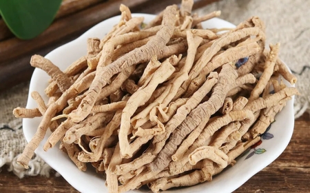 Viễn Chí (Cortex et Radix Polygalae): Vị Thuốc Đông Y Giúp An Thần và Hỗ Trợ Điều Trị Các Bệnh Lý Thần Kinh