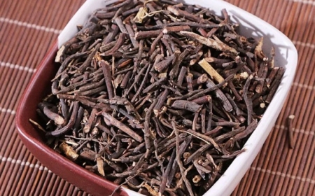 Khám Phá Uy Linh Tiên (Radix Clematidis): Vị Thuốc Đông Y Hỗ Trợ Điều Trị Phong Thấp và Đau Nhức