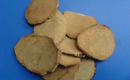 Tam Lăng (Rhizoma Sparganii): Hiệu Quả Trong Điều Trị Tắc Nghẽn và Đau Bụng Trong Đông Y