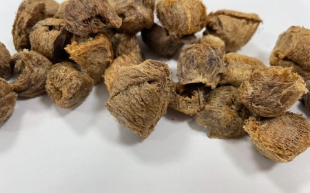 Tang Phiêu Tiêu (Ootheca Mantidis): Vị Thuốc Đông Y Hỗ Trợ Cố Thận và Bổ Hư Hiệu Quả