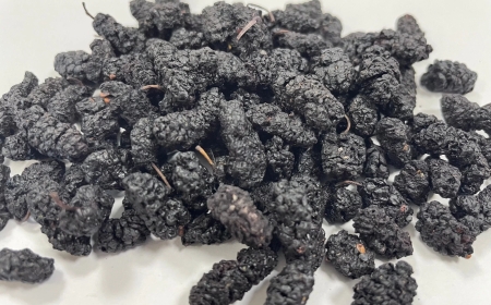 Tang Thầm (Fructus Mori): Vị Thuốc Đông Y Bổ Âm và Dưỡng Huyết Hiệu Quả