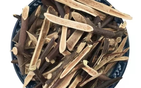 Tạo Giác Thích (Spina Gleditschae): Vị Thuốc Đông Y Hiệu Quả Trong Việc Tiêu Độc và Hoạt Huyết