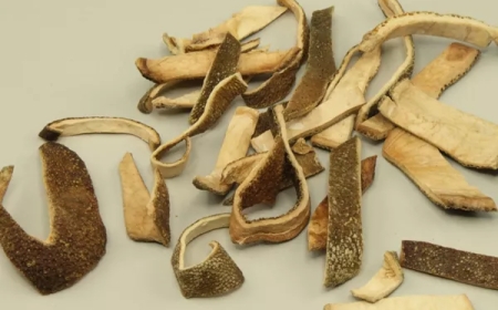 Thanh Bì (Pericarpium Citri Reticulatae Viride): Vị Thuốc Đông Y Điều Trị Can Khí Uất Trệ và Khí Trệ