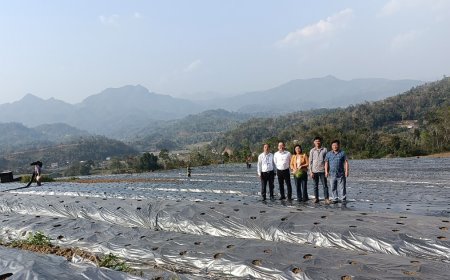 QUYẾT ĐỊNH: Về việc phê duyệt Dự án Đầu tư hỗ trợ phát triển vùng trồng dược liệu quý tại huyện Ba Bể tỉnh Bắc Kạn