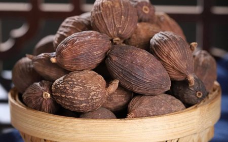 Thảo Quả (Fructus Amomi Tsaoko): Vị Thuốc Đông Y Táo Thấp Mạnh và Trừ Hàn Hiệu Quả