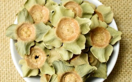 Thị Đế (Calyx Kaki): Vị Thuốc Đông Y Chữa Đầy Bụng và Nấc Hiệu Quả