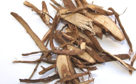 Thiên Cân Bạt (Radix Flemingiae): Vị Thuốc Đông Y Kiện Gân, Xương và Thanh Phế Hiệu Quả