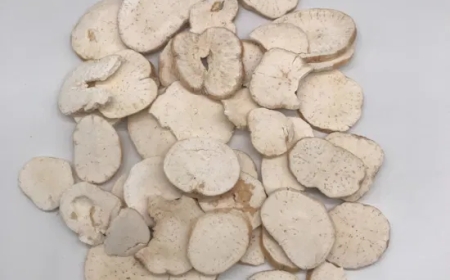 Thiên Hoa Phấn (Radix Trichosanthis Kirilowii): Vị Thuốc Thanh Phế Nhiệt và Hóa Đờm Hiệu Quả