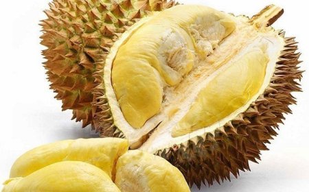 Lợi Ích Sức Khỏe Của Sầu Riêng