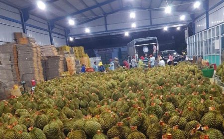 Thị Trường Sầu Riêng Tại Việt Nam: Tiềm Năng Và Thách Thức