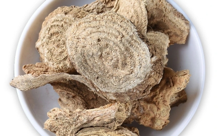 Thương Lục (Radix Phytolaccae): Vị Thuốc Tiêu Thũng, Tán Kết và Lợi Niệu Hiệu Quả