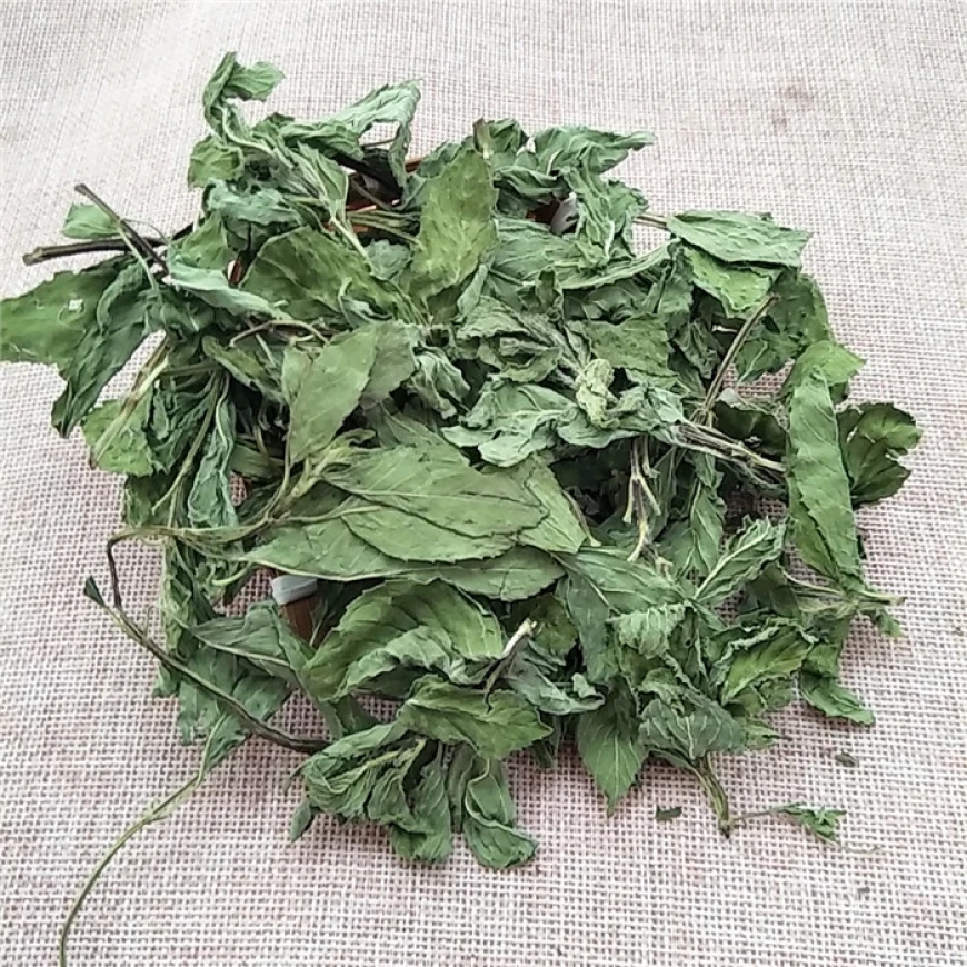 Bạc Hà (Herba Menthae)