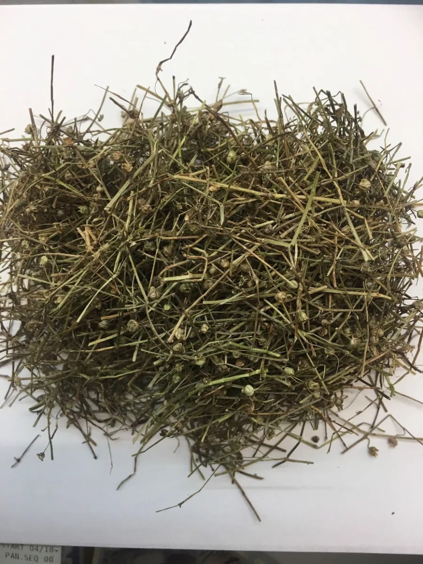 Bạch Hoa Xà Thảo (Herba Oldenlandia)